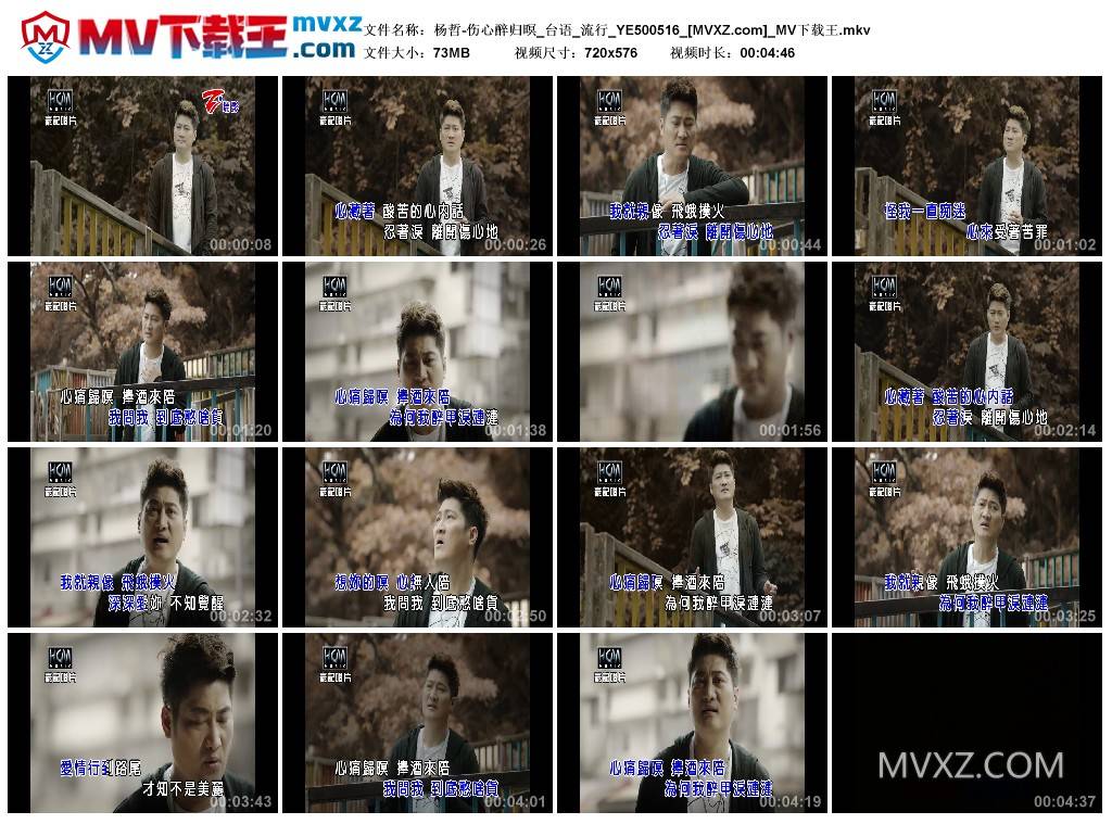 杨哲-伤心醉归暝_台语_流行_YE500516